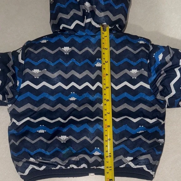 The North Face Royal Blue Hooded Jacket